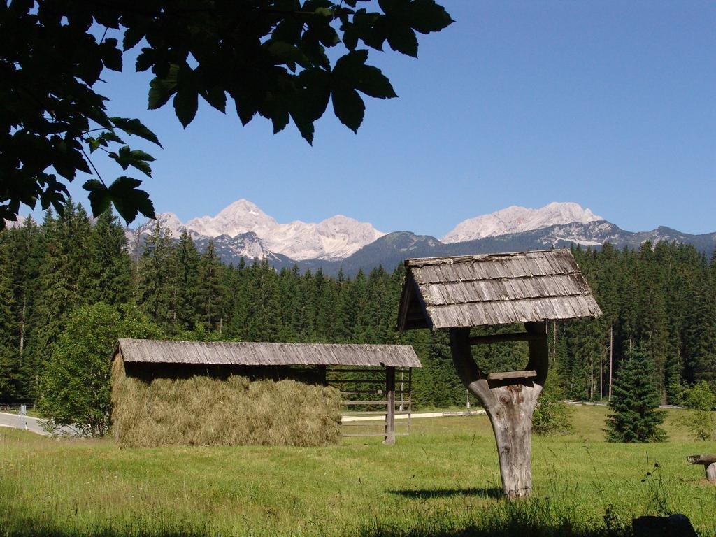 Apartment Zatrnik Bled Zewnętrze zdjęcie