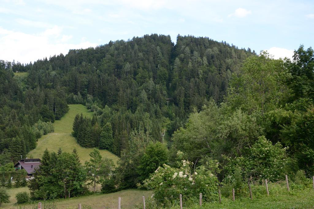 Apartment Zatrnik Bled Zewnętrze zdjęcie